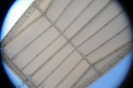 Ground Support System-3